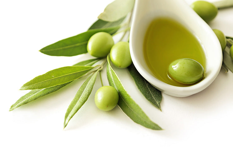 Enroll in Fresh-Pressed Olive Oil Club Risk Free